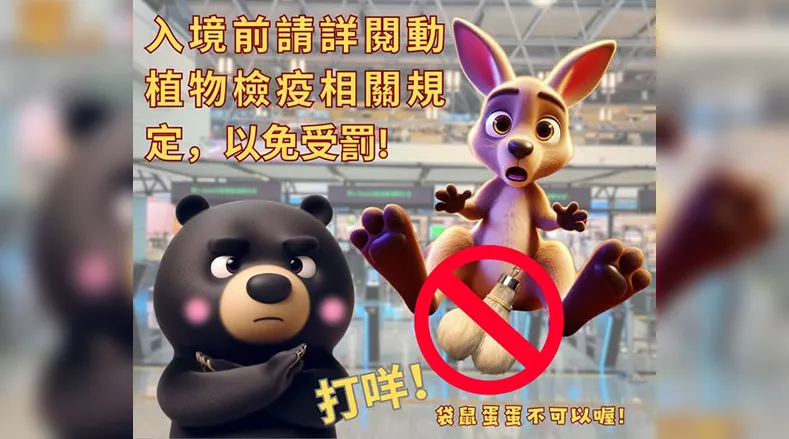 澳洲販售的「袋鼠蛋蛋」能不能帶回台？